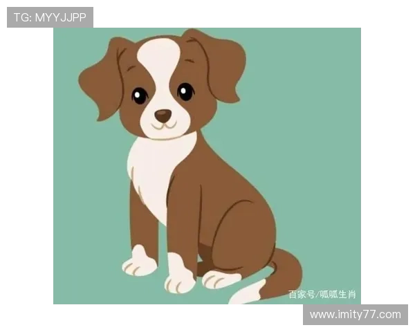 第67期生肖开奖结果揭晓，幸运号码震撼公布